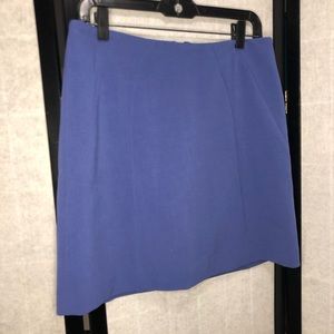 Ann Taylor LOFT Skirt
